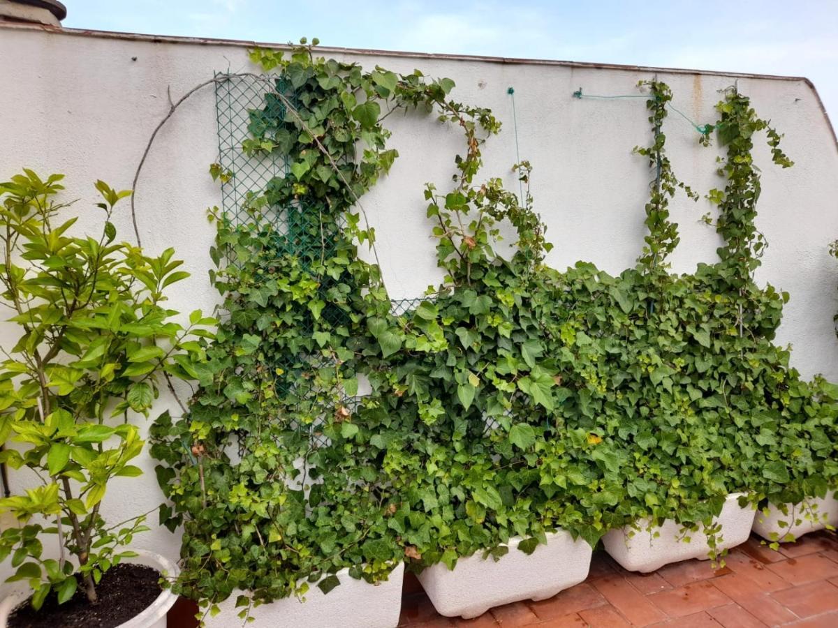 Atico Isaac Albeniz Apartament La Pineda