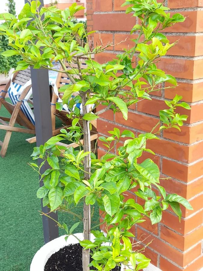 Apartament Atico Isaac Albeniz La Pineda