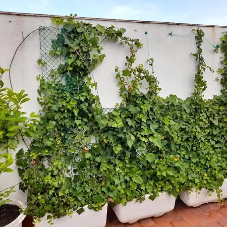 Appartamento Atico Isaac Albeniz La Pineda Esterno foto